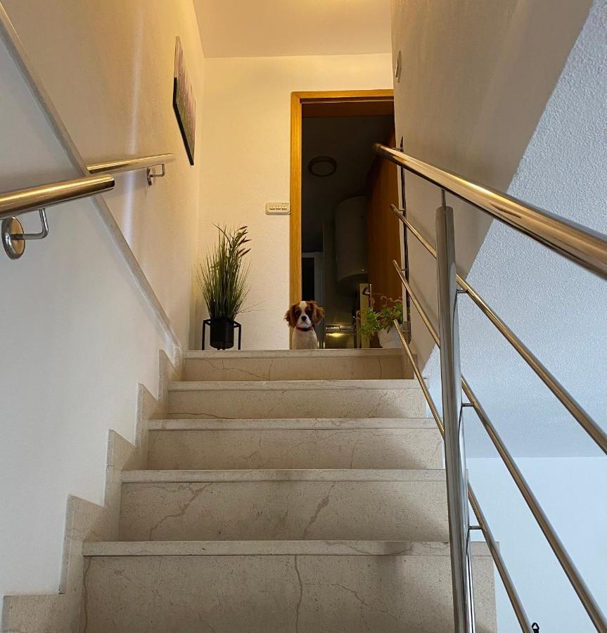 Mediterano Apartment - City Center Split Extérieur photo